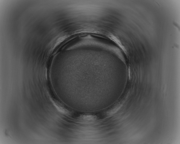 X0000092040205200709121159