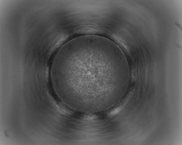 X0000092040206200709121159