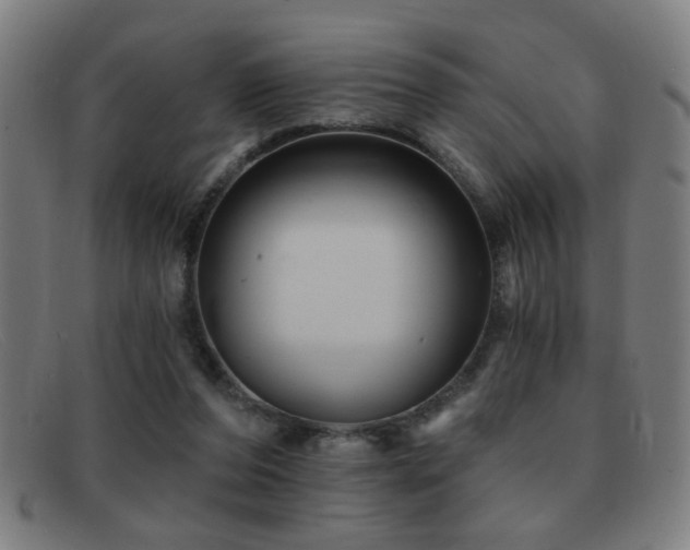 X0000092040208200709121159