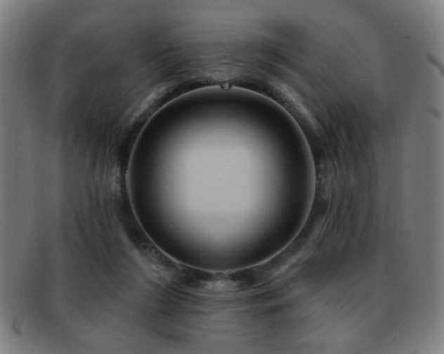 X0000092040212200709121159