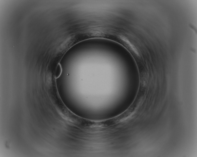 X0000092040213200709121159