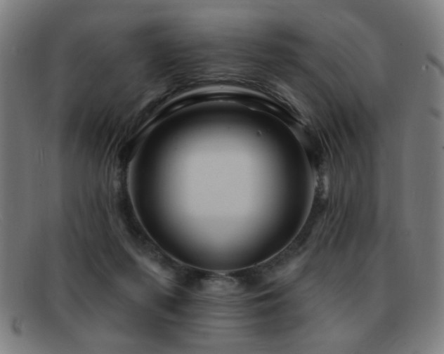 X0000092040215200709121159