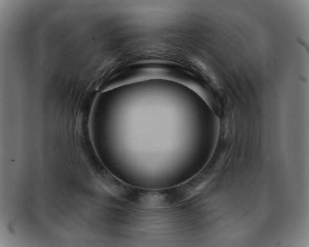 X0000092040217200709121159