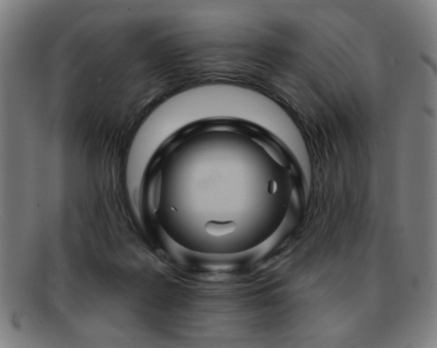 X0000092040219200709121159