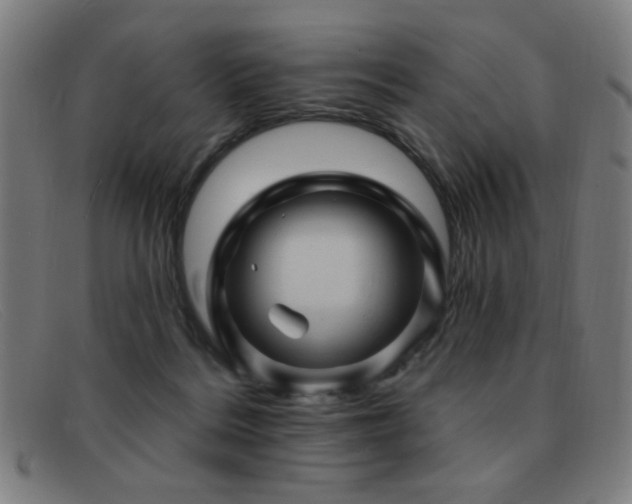 X0000092040220200709121159