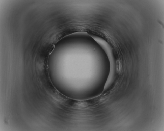 X0000092040221200709121159