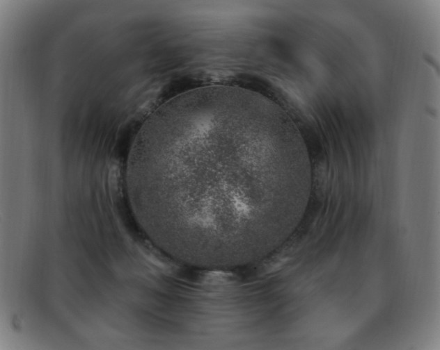 X0000092040222200709121159