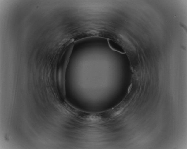 X0000092040223200709121159