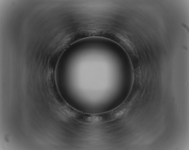 X0000092040225200709121159