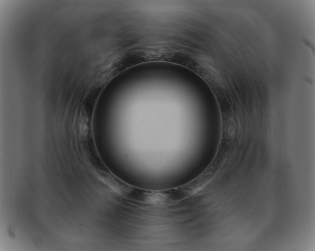 X0000092040226200709121159