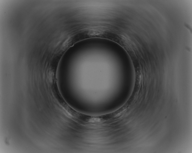 X0000092040227200709121159