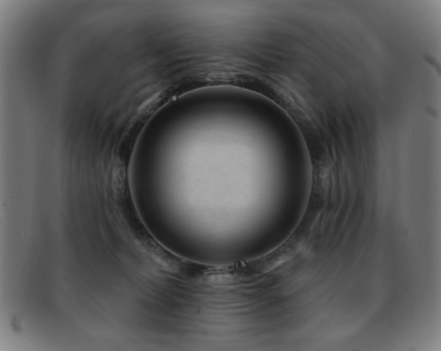 X0000092040228200709121159