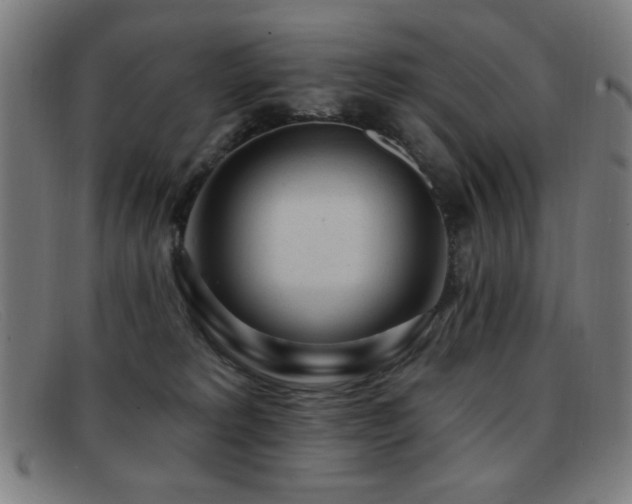 X0000092040229200709121159