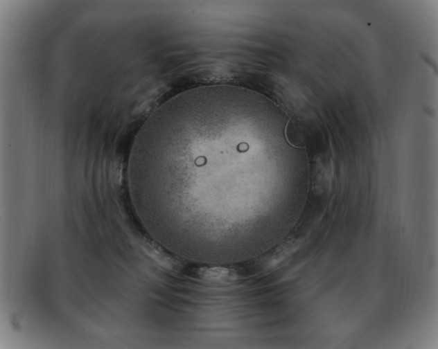 X0000092040230200709121159