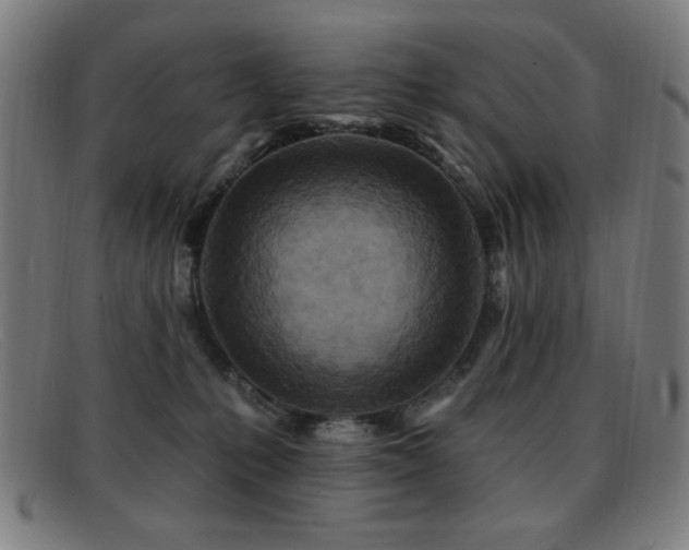 X0000092040231200709121159