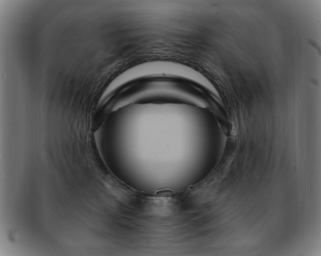 X0000092040233200709121159