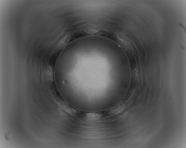 X0000092040234200709121159