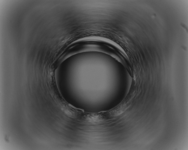 X0000092040235200709121159