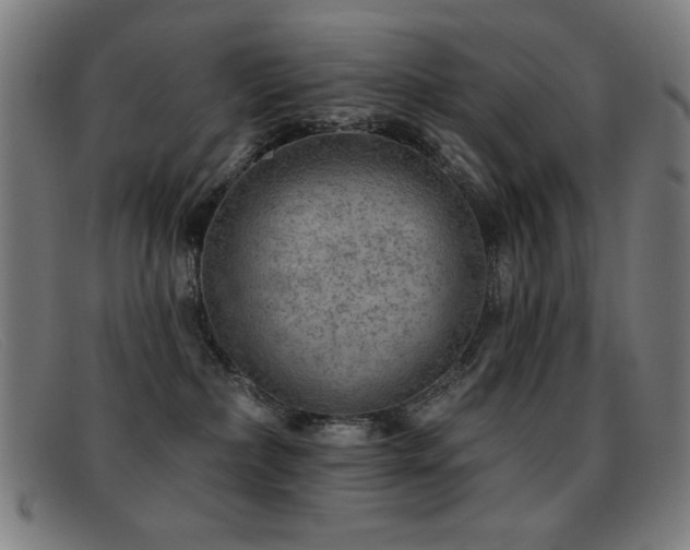 X0000092040236200709121159