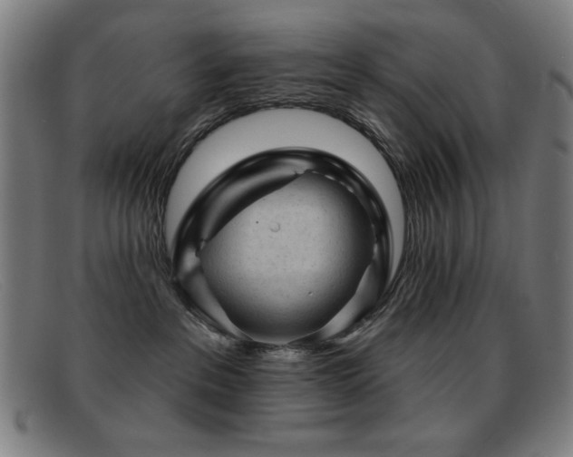 X0000092040237200709121159