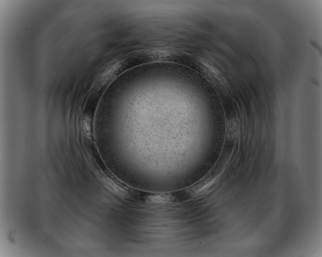 X0000092040238200709121159