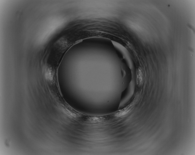 X0000092040239200709121159