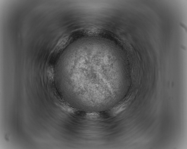 X0000092040240200709121159