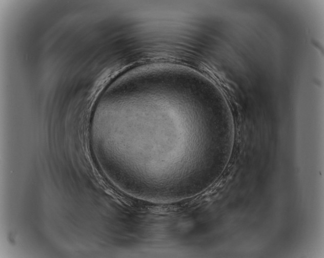 X0000092040241200709121158