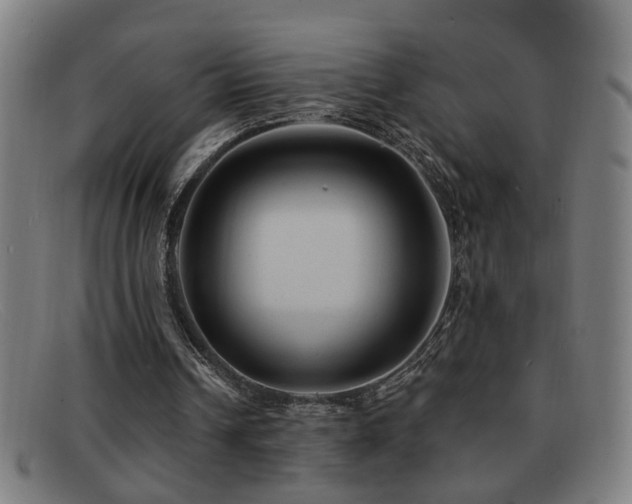 X0000092040242200709121159