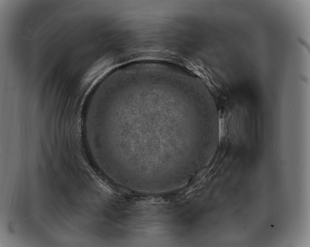 X0000092040243200709121159