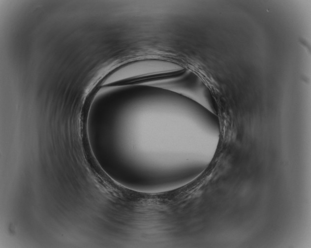 X0000092040244200709121159