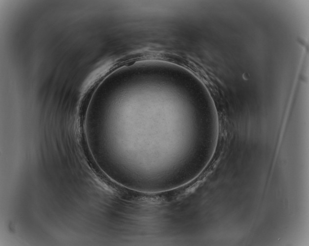 X0000092040245200709121159