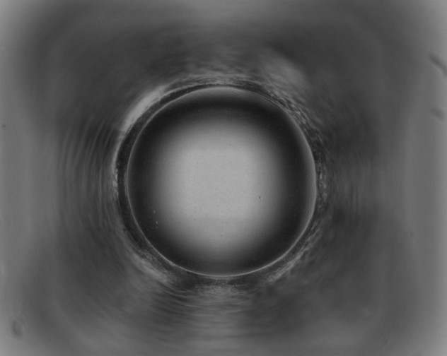 X0000092040246200709121159