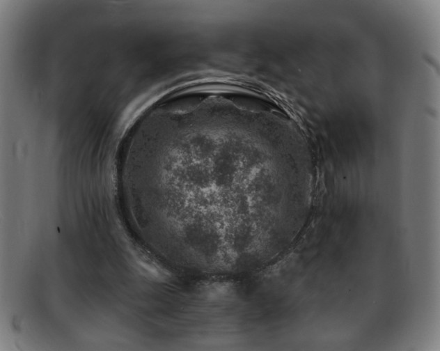 X0000092040247200709121159