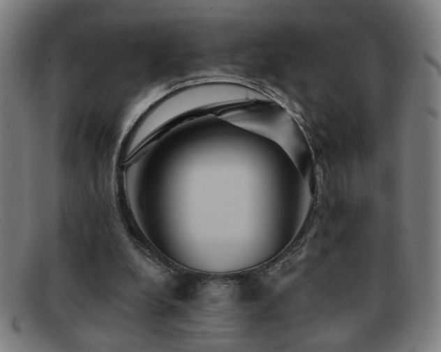 X0000092040248200709121159