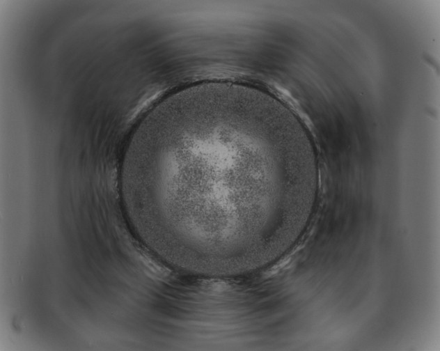 X0000092040249200709121159