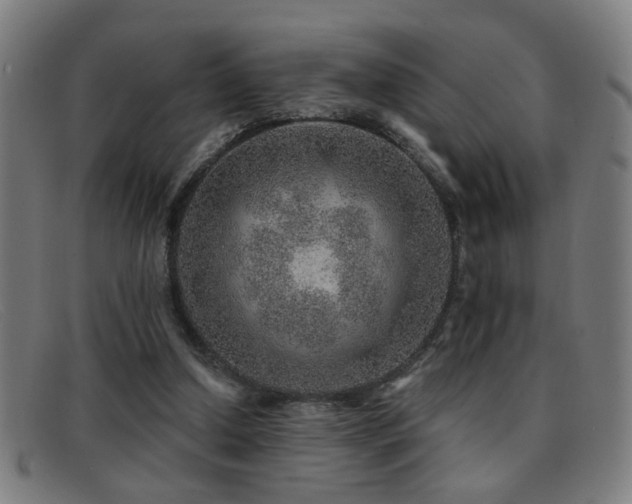 X0000092040250200709121159