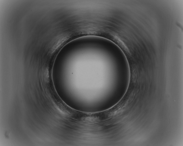 X0000092040251200709121159