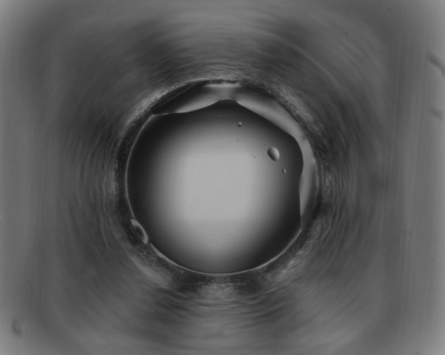 X0000092040252200709121159