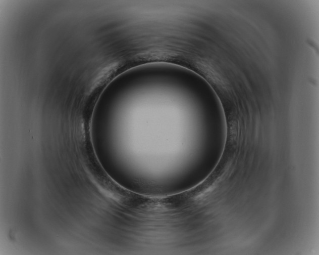 X0000092040254200709121159