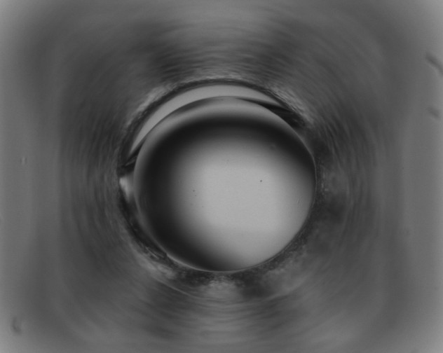 X0000092040256200709121159