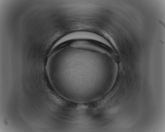 X0000092040257200709121159