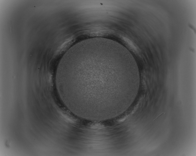 X0000092040258200709121159