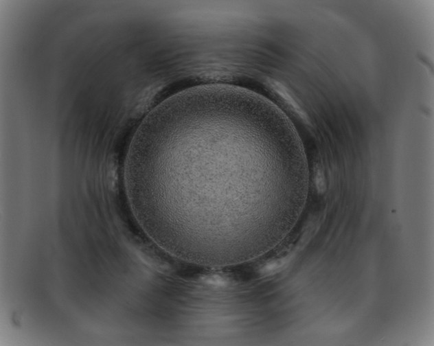 X0000092040259200709121159