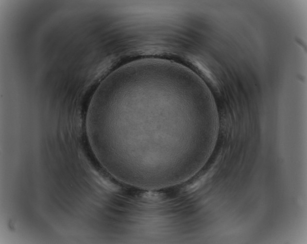 X0000092040261200709121159