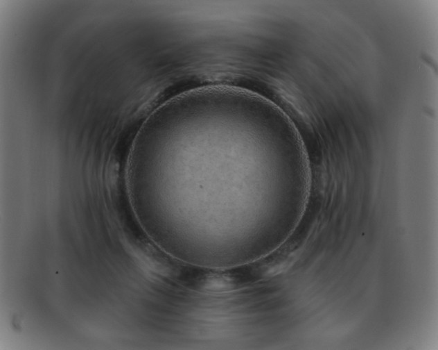 X0000092040263200709121159