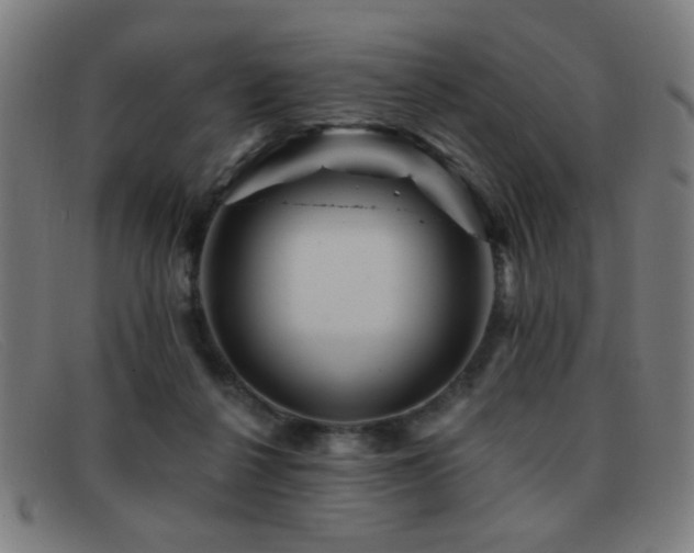 X0000092040264200709121159