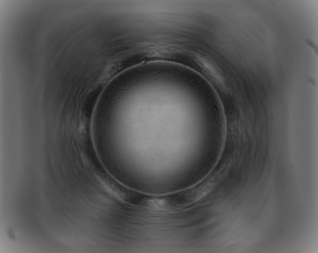 X0000092040265200709121159