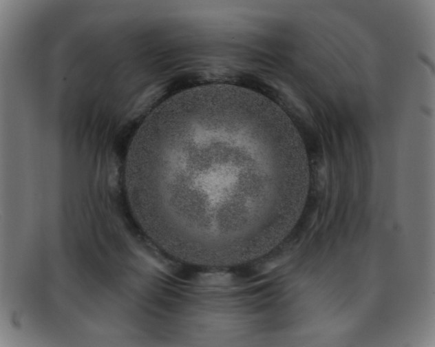 X0000092040266200709121159