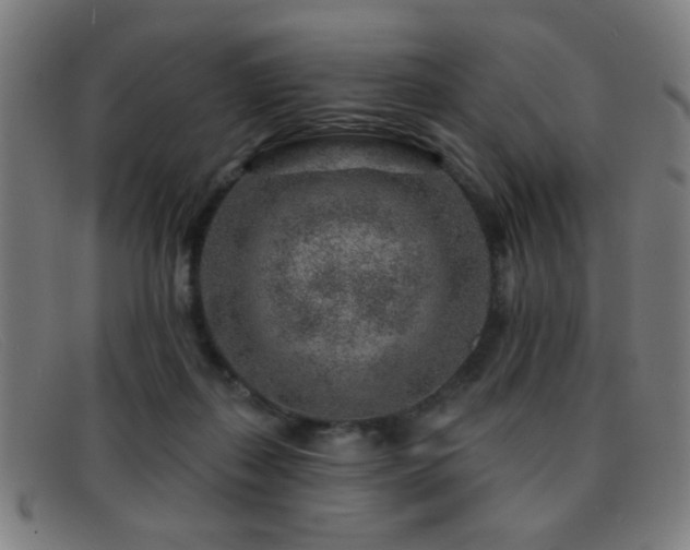 X0000092040267200709121159